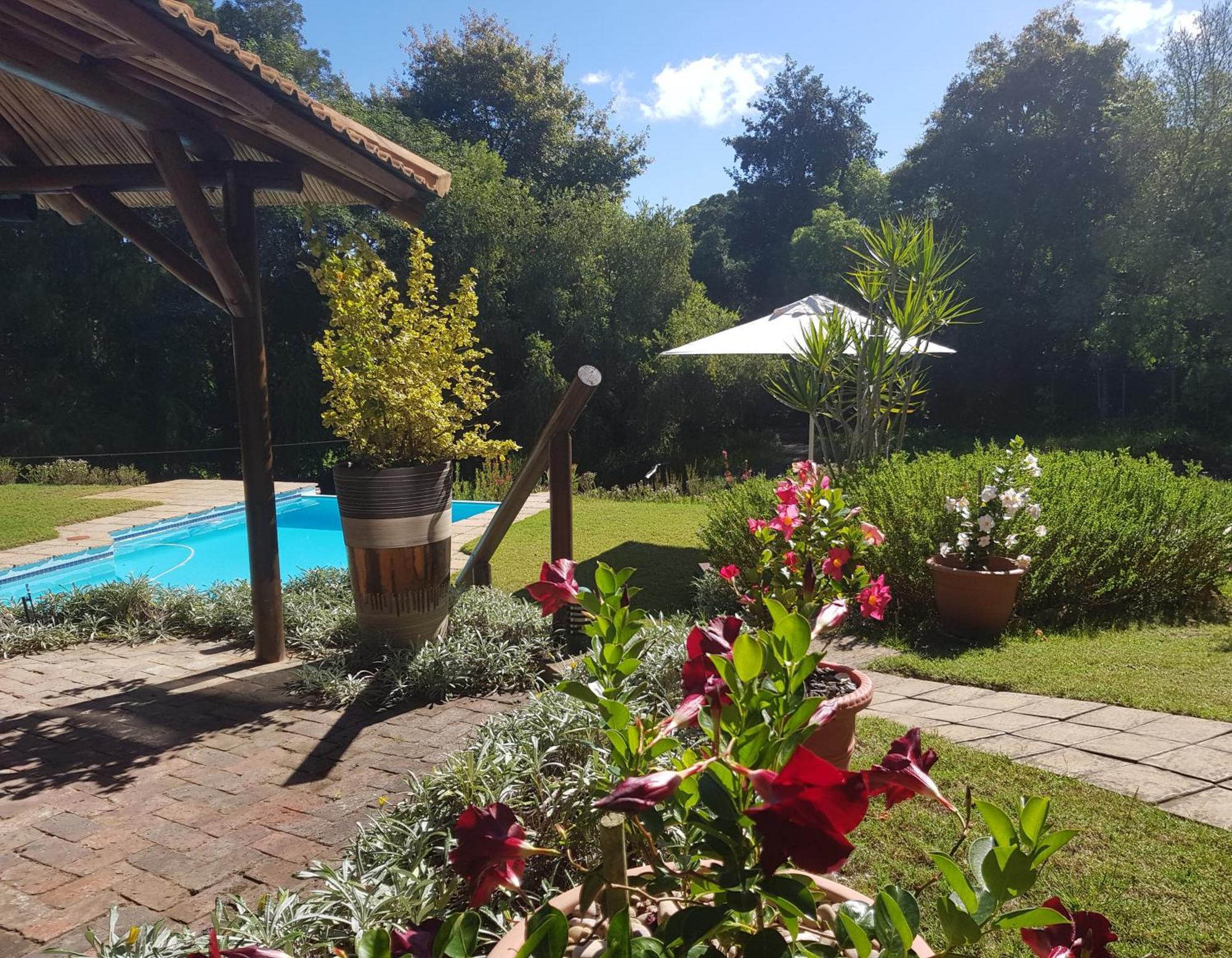 Pumula Lodge 4 Star B&B Κνύσνα Εξωτερικό φωτογραφία