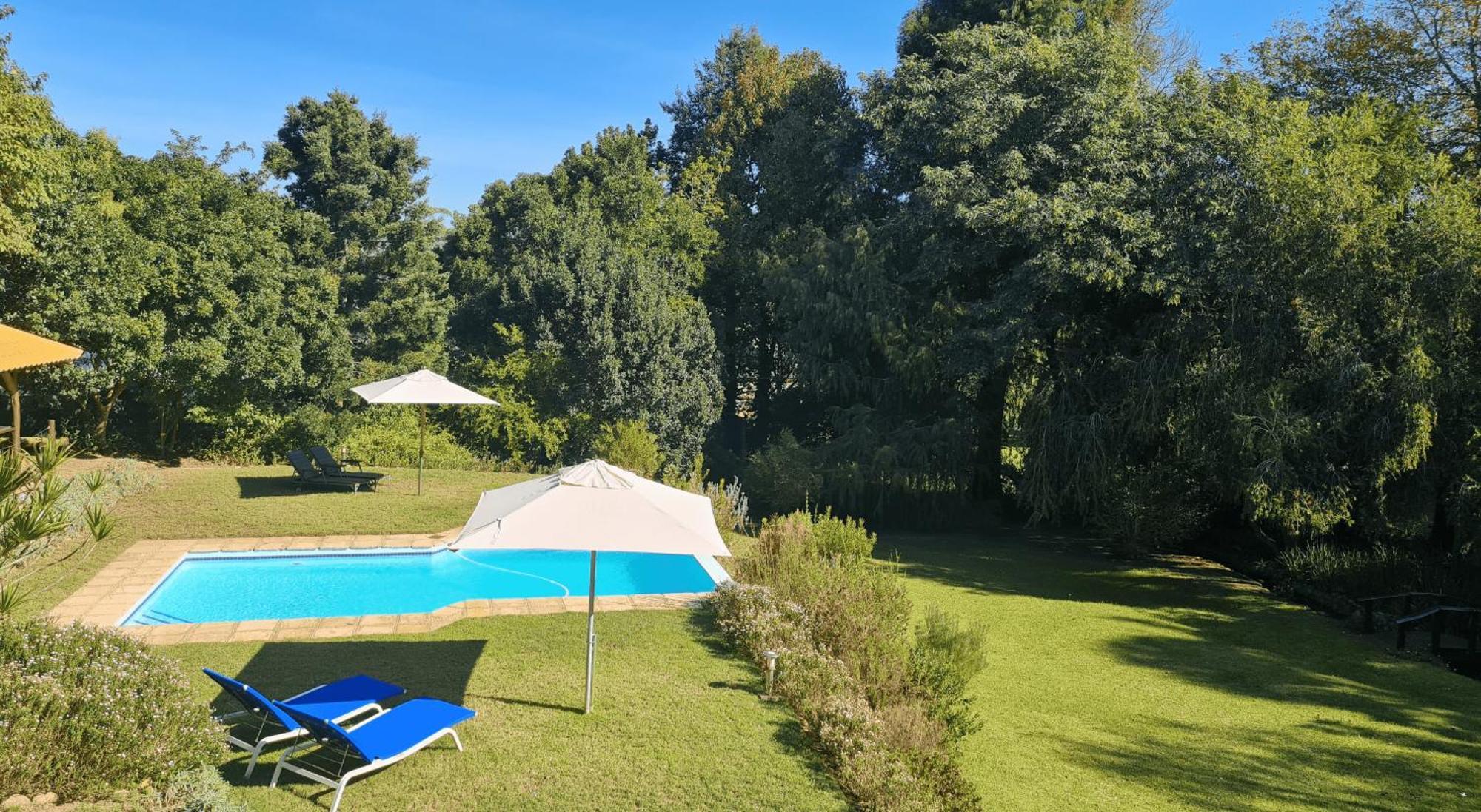 Pumula Lodge 4 Star B&B Κνύσνα Εξωτερικό φωτογραφία